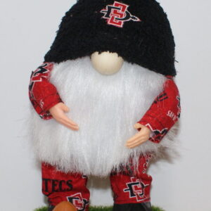 Football SDSU Aztecs 3