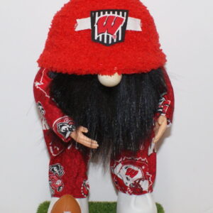 Football Wisconsin Badgers 3