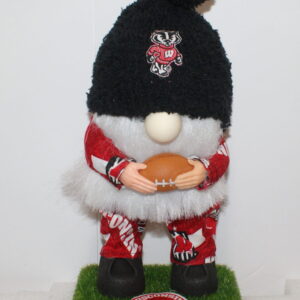Football Wisconsin Badgers 4
