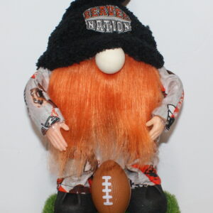 Football Oregon State Beavers 6