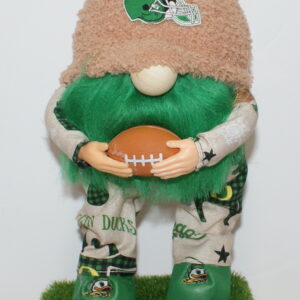Football Oregon Ducks 11