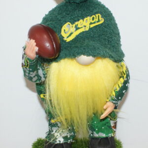 Football Oregon Ducks 14