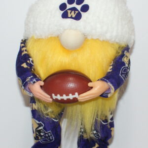Football UW Huskies 32