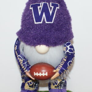 Football UW Huskies 33