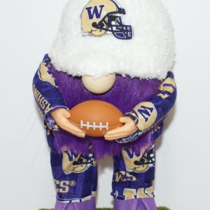 Football UW Huskies 34