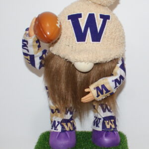 Football UW Huskies 35
