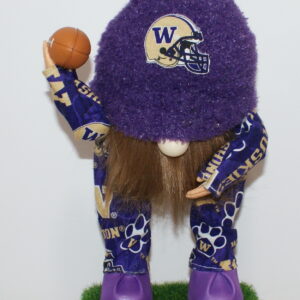 Football UW Huskies 36