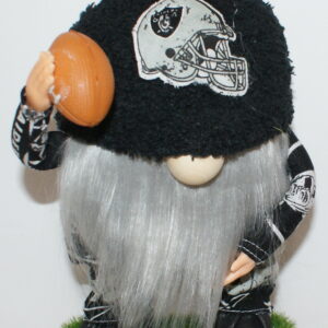 Football LV Raiders 16