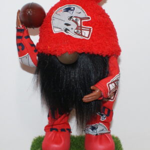 Football NE Patriots 4