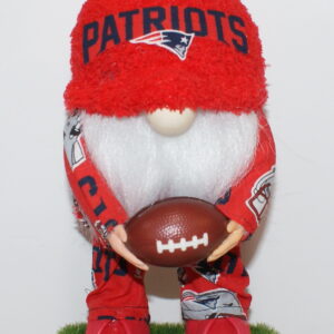 Football NE Patriots 5