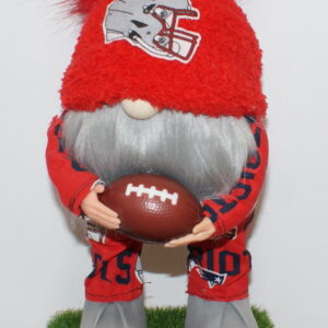Football NE Patriots 6