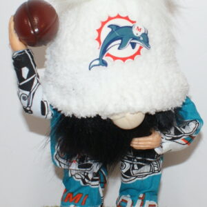 Football Miami Dolphins 9