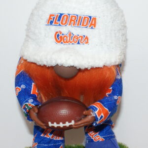 Football Florida Gators 1