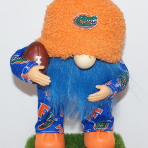 Football Florida Gators 2