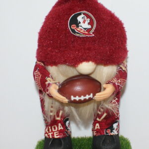 Football Florida State Seminoles 1