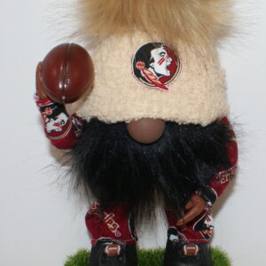Football Florida State Seminoles 2