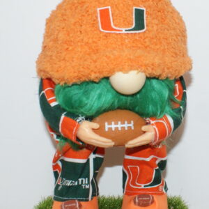 Football Miami Hurricanes 1