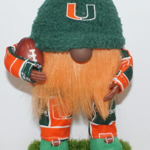 Football Miami Hurricanes 2