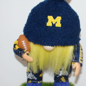 Football Michigan Wolverines 3