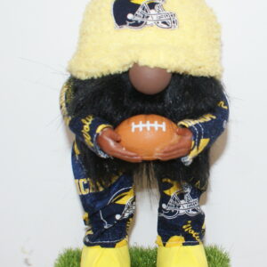Football Michigan Wolverines 4