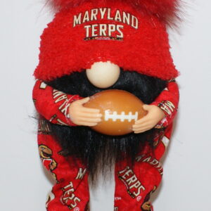 Football Maryland Terrapins 2