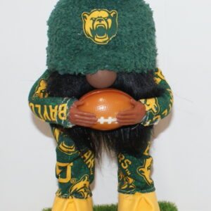 Football Baylor Bears 2