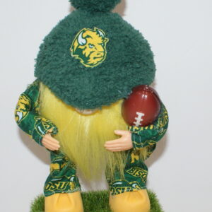 Football North Dakota State Bison 2