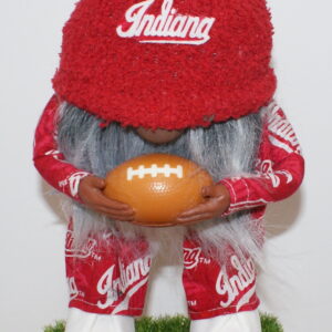 Football Indiana Hoosiers 1