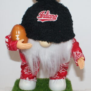 Football Indiana Hoosiers 2