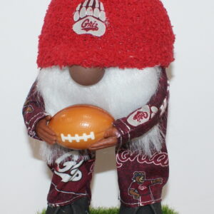 Football Montana Grizzlies 1