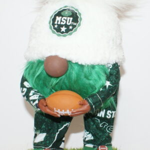 Football Michigan State Spartans 2