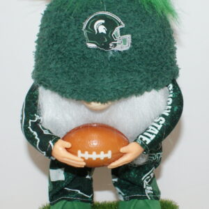 Football Michigan State Spartans 1