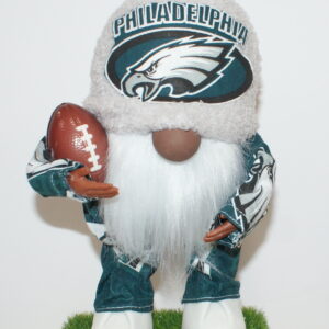 Football Philadelphia Eagles 13