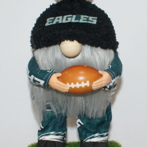 Football Philadelphia Eagles 14