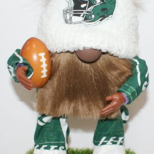 Football New York Jets 1