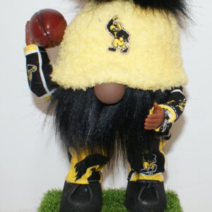 Football Iowa Hawkeyes 2