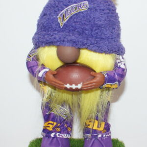 Football LSU Tigers 2