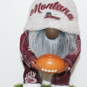 Football Montana Grizzlies 2