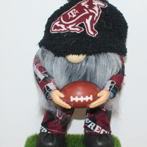 Football Texas A & M Aggies 1