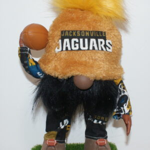 Football Jacksonville Jaguars 4