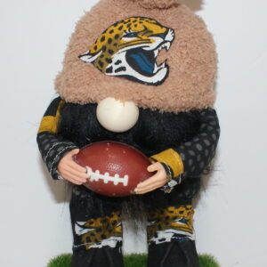 Football Jacksonville Jaguars 5