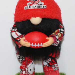 Football Nebraska Cornhuskers 6