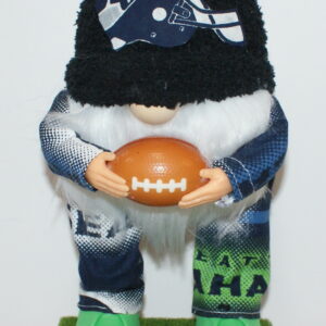 Football Seattle Seahawks 120