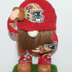 Football SF 49ers 22