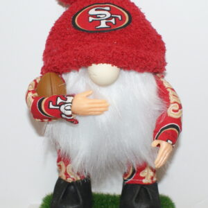 Football SF 49ers 23