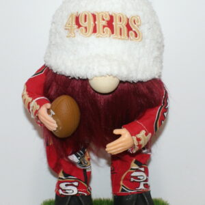 Football SF 49ers 24