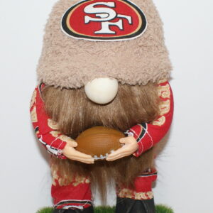 Football SF 49ers 25