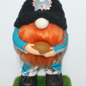 Football Miami Dolphins 10