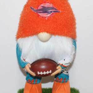 Football Miami Dolphins 7