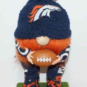 Football Denver Broncos 13